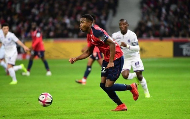 变得更轻盈 变得更轻盈